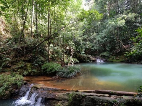 Borneo Tropical Rainforest Resort Day Trip